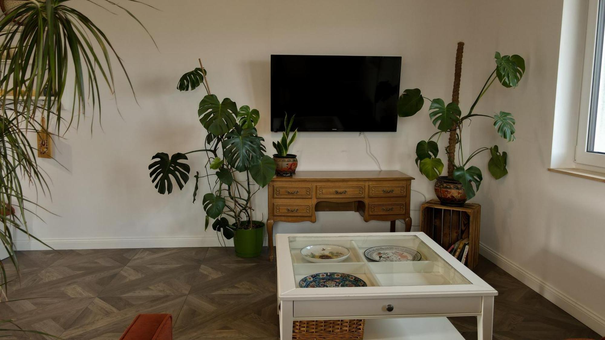 Apartament Lawendowy Raj Pilchowice Zewnętrze zdjęcie